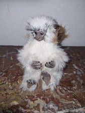 DOLLS DOLL ASHTON DRAKE