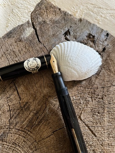 Kingswood eversharp gold nib - kingswood,