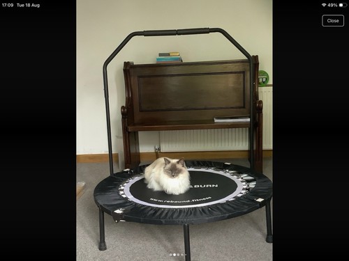 Bounce and burn - burn, rebounder