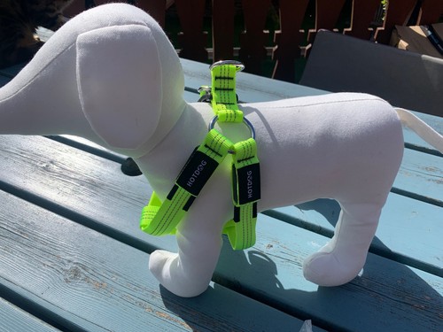 Hotdog led rechargeable canvas - led,