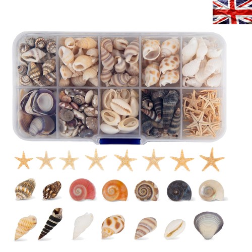 Unique 250 pcs shells - 250,