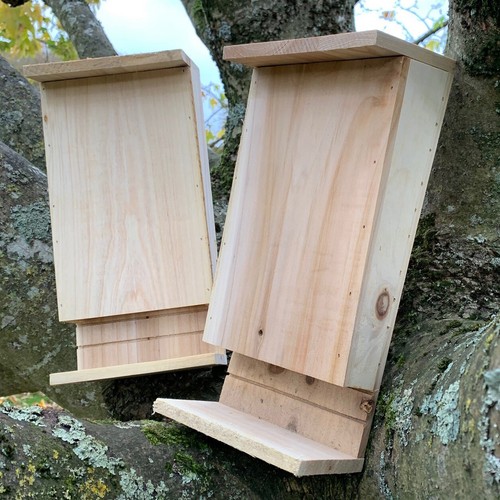 Set wooden bat - set,