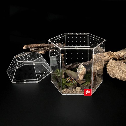Reptile breeding box acrylic - reptile,