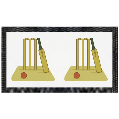 Cricket pitch essentials pet - pitch,