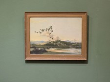 Vintage Vernon Ward Colour Proof 'Shovelers Frightened Gold Framed Duck Painting