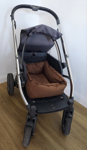 Dog buggy stroller - dog,