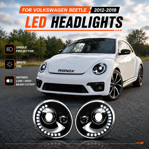 Projector headlights assembly - headlights,