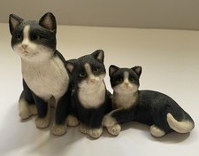 Leonardo Three Adorable Black And White Cats Collectable Ornament