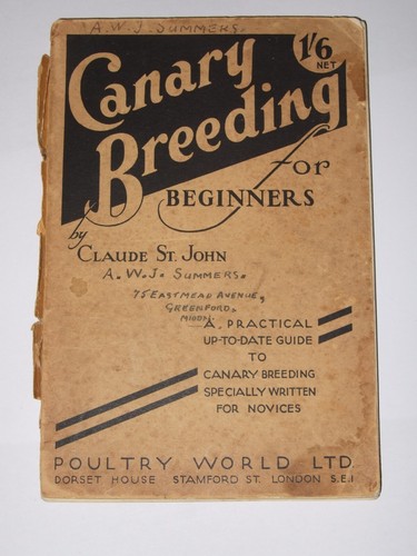 Canary breeding for - for, beginners