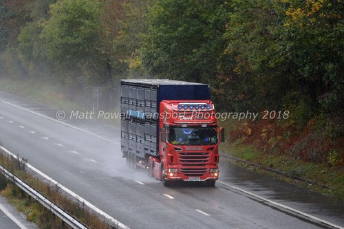 Truck photo 12x8 scania r560 - scania,