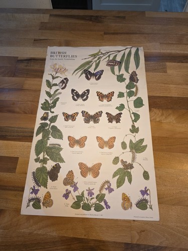 British butterflies marilyn - butterflies,