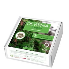 Evergreen Tree  Food Spikes x9