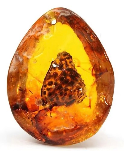 Amber variety with - amber,