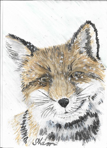Fox the snow watercolour - the,
