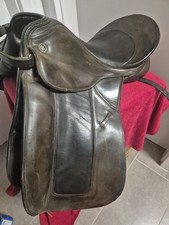 Dressage Saddle Kieffer Udo Long Top Two Tone