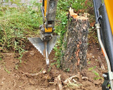 Excavator Shark Tooth tree tap root cutter tine inc VAT 1.5T- 2.5T digger