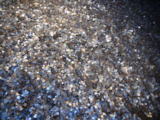 10 kg coins Europe kiloware