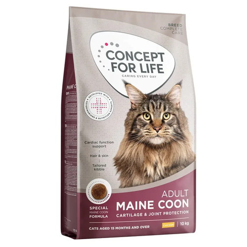 Concept for life maine coon - for,