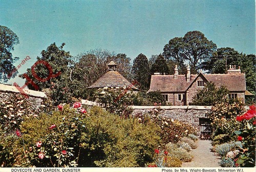 Picture postcard dunster - picture, postcard::dunster