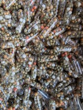 Root Tabs for Aquarium Plants, 5-6M Slow Release Fertilizer | Fish & Shrimp Safe