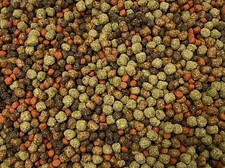 ABF Cichlid Food Pellet