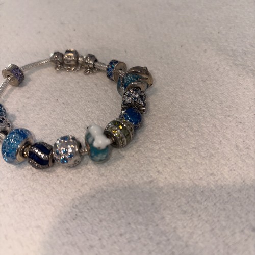 Pandora charm bracelet
