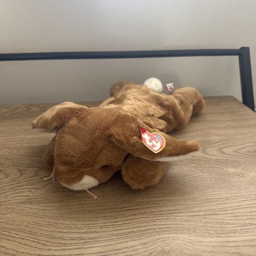 Beanie buddy ears bunny - ty,