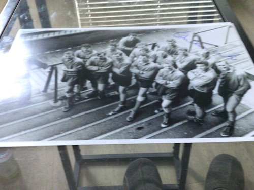 Sunderland signed team picture - team,