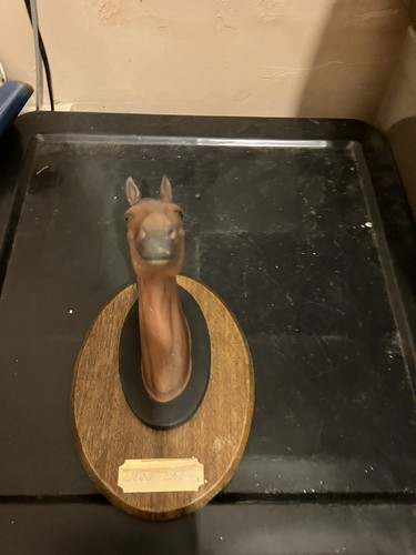 Beswick red rum wall - rum,