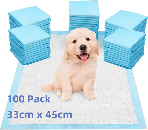 100 large puppy - puppy, training