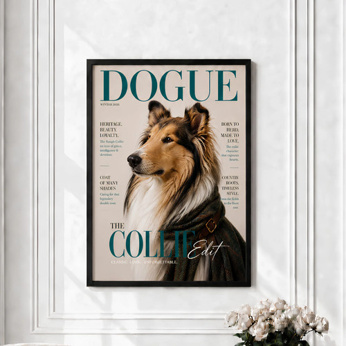 Rough collie douge fashion dog - rough,