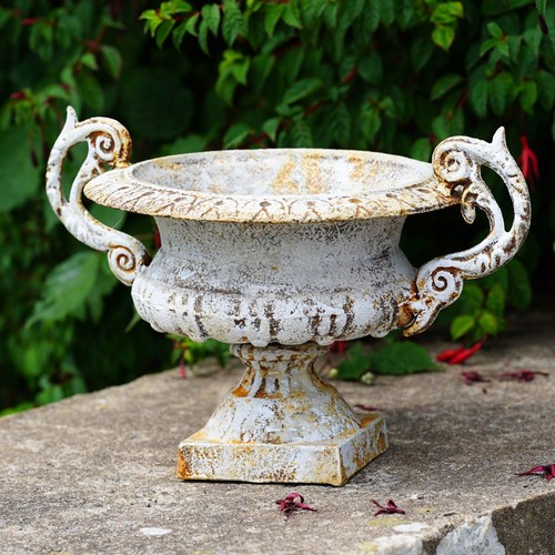 Cast iron urn - cast, handled