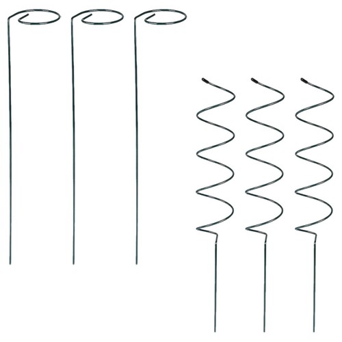 Single stem spiral plant - stem,