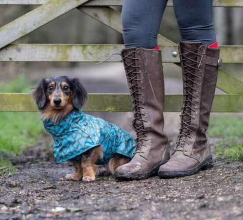 Rukka pets hayton warm dog - hayton,