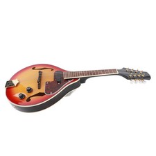 Adjustable 8-String Electric A