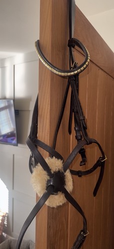 Grackle bridle large - grackle, (horse)