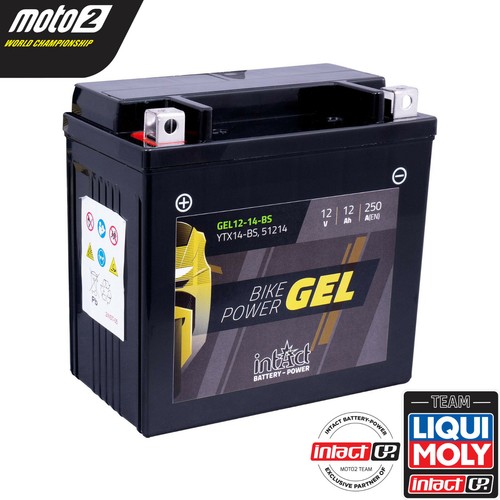 Intact gel battery fits - intact,