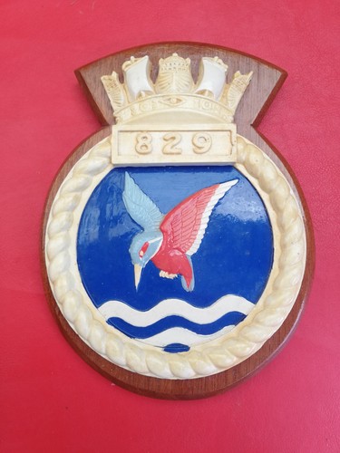 829 naval air squadron large - 829,