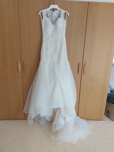 Brand new sophia tolli - brand,