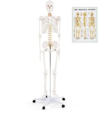 COSTWAY 180cm Life Size Human