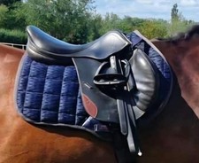 John Whitaker Black 17.5" Jump