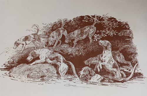 John charlton fox - john, hunting