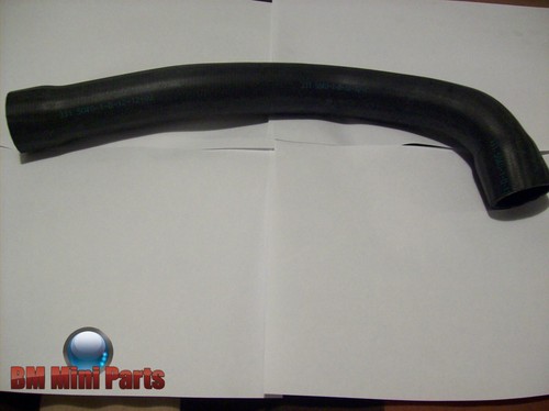 Bmw lower radiator - bmw, hose