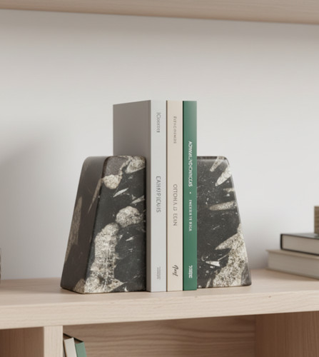 Polished fossil bookends - fossil, –