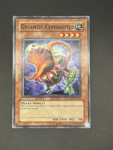 Gigantic cephalotus - gigantic,