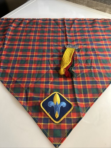Boy scouts america cub - of,