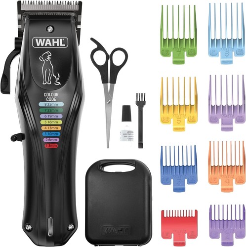 Colour pro rechargeable - colour, pet