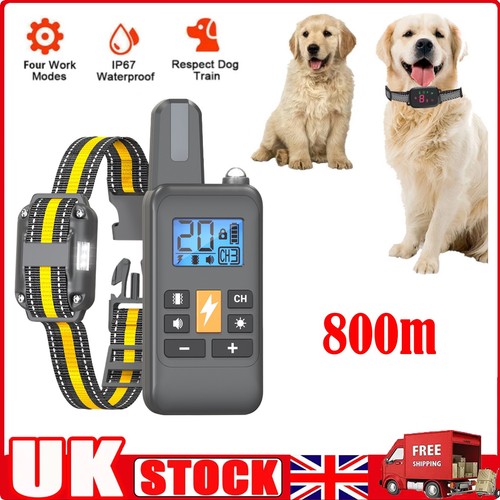 800m electric pet dog - dog, training