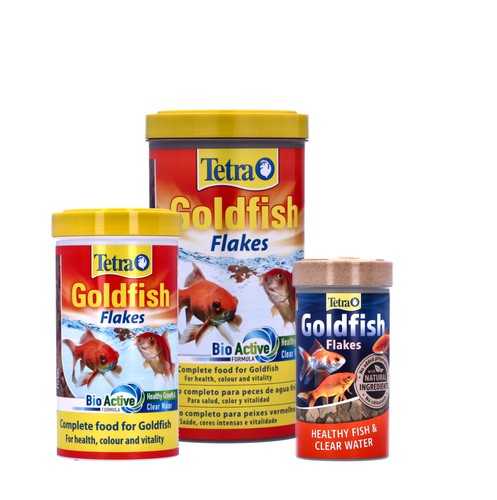 Tetra tetrafin goldfish - tetra,