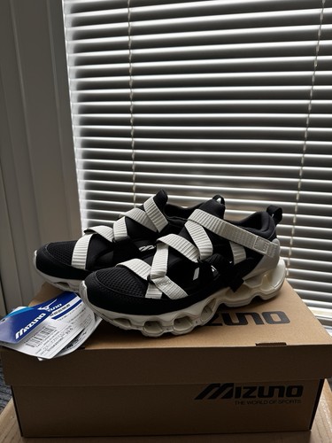 Mizuno wave prophecy - mizuno,